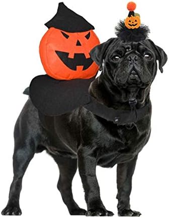 כלי רכב חיות מחמד ליל כלב תלבושת דלעת דלעת רוכב אביר תלבושת לבוש כלב וכלב קוסם דלעת כובע מכשף 2 יחידות M