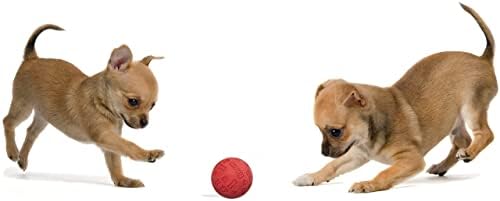 כדורי כלבים גומי נוח לכלבים קטנים ובינוניים - גודל כדור טניס - כמעט בלתי ניתן להריסה