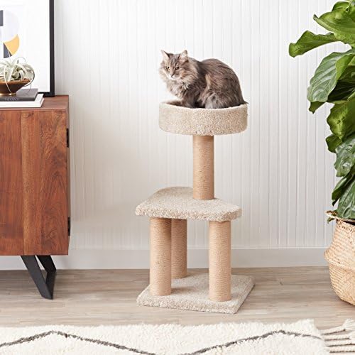 יסודות אמזון עץ חתול עץ טיפוס מקורה מגדל חתולים עם עמדות שריטות, בינוני, 15.7 x 31.5 אינץ ', בז'