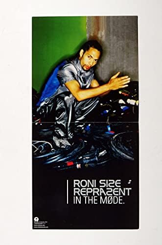 רוני גודל/פוסטר רזנטנט דירה 2000 באלבום המצב קידום 12 x 12