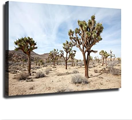 עץ יהושע פארק לאומי קליפורניה נוף מדברי צילום מגניב קיר קיר אמנות הדפסת ציור דקורטיבי פוסטר קיר בד מגניב אמנות