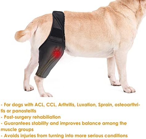 סד ברך לכלב פטמינגהם לכלב,נקע בכובע הברך, דלקת פרקים-שיקום מפרקים וברך-תמיכה משותקת נוספת-הקלה על כאבים והפחתת דלקת