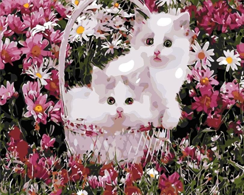 ערכות ציור שמן אקרילי DIY על צבע חתול לבן בד לפי מספר לילדים ומבוגרים מתחילים 16x20 אינץ '