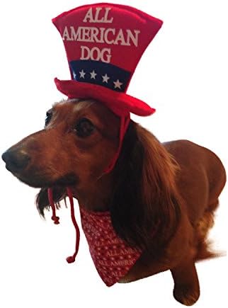 התלבושות ה -4 ביולי כובע כלב תלבושת לצעיף הכל אמריקאי