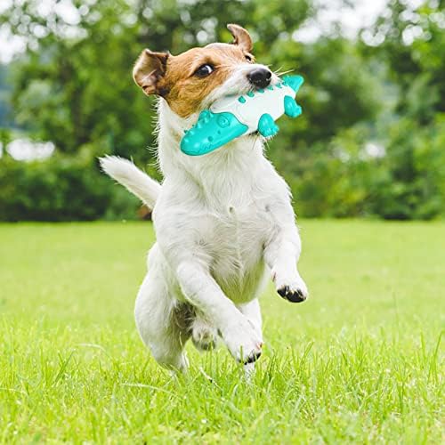 צעצועים לעיסה של כלבים מצחיקים לעיסות אגרסיביות אידיאליות לכלבים קטנים, בינוניים וגדולים עמידים שיניים עמידות