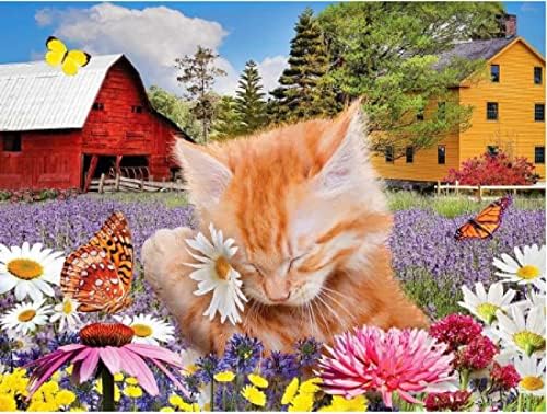 צבע DIY לפי ערכת מספרים לילדים ומבוגרים פרחים פרפר וחתול מגולגל קמטים ללא קמטים ללא צביעה, צבע לפי מספרים למבוגרים עם מברשות