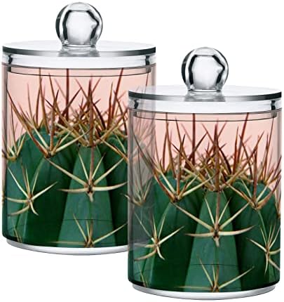 Yyzzh cactus צמח עסיסי על ורוד 2 חבילה מתקן מחזיק QTIP לכדור כותנה כפפות עגול חוט דנטוויל 10 גרם צנצנת צנצנת מרקחת
