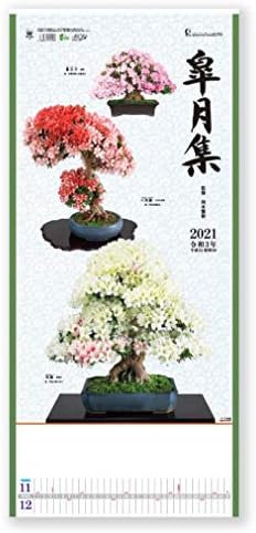 לוח שנה יפני חדש יפן לוח השנה 2021 אוסף Satsuki רכוב על קיר קלנדרי NK490