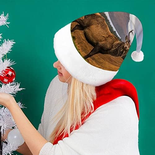 סקוטי דולר חג המולד כובע סנטה כובע מצחיק חג המולד כובעי חג מסיבת כובעי עבור נשים / גברים
