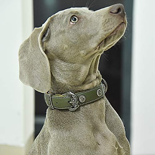 צווארון כלבי עור Joyeeeiooo מרופד צווארון עור רך וחזק חומרת סגסוגת אופנה ייחודית לכלבים קטנים בינוניים גדולים