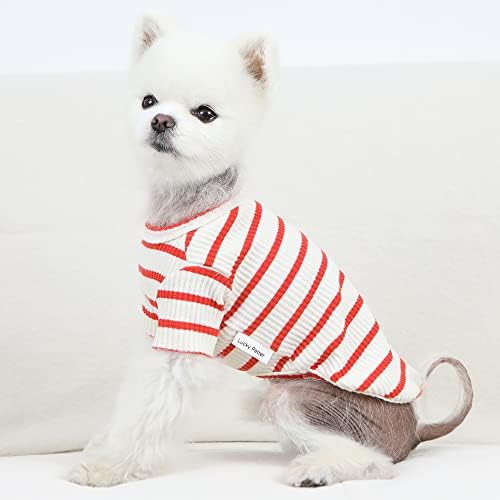 חולצת כלבים מפוספסת חדשה של מזל פטר לחולצת טריקו קטנה של כלבים גדולים