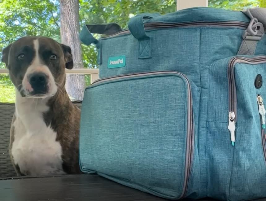 תיק נסיעות לכלבים - חברת תעופה מאושרת על תיקי טיול לחיות מחמד מארגן ציוד ציוד לכיס רב פונקציונלי לכיס מזון