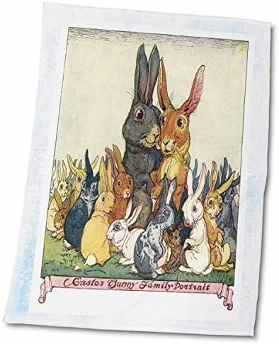 3drose Florene Childrens Art - משפחת ארנבות ויקטוריאנית מקסימה - מגבות