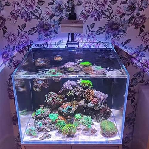 שונית אור אקווריום לד פופבלום 90, בקרת אפליקציה חכמה תאורת מיכל שונית אלמוגים 100 וואט עבור 16-24 מיכלי דגי אלמוגים