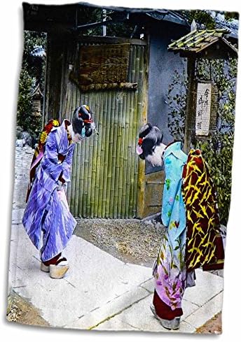3 דרוז בנות יפניות בכניסה לג'נקיו en גנים הייקון יפן - מגבות