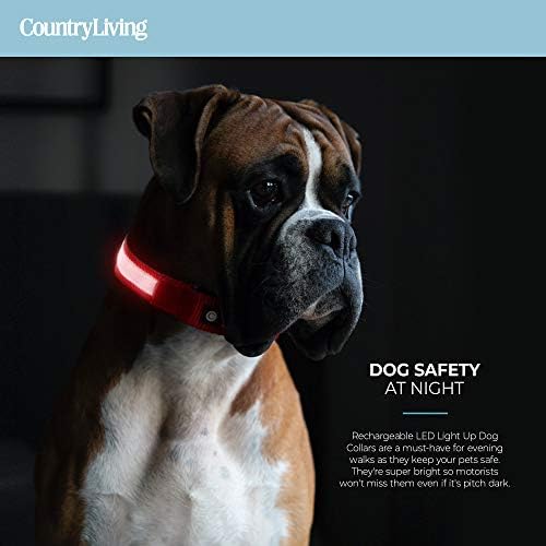 קאנטרי חיים על ידי כף כסף מדליקים צווארוני כלבים, LED USB צווארון כלבים נטען, אטום למים ועמיד