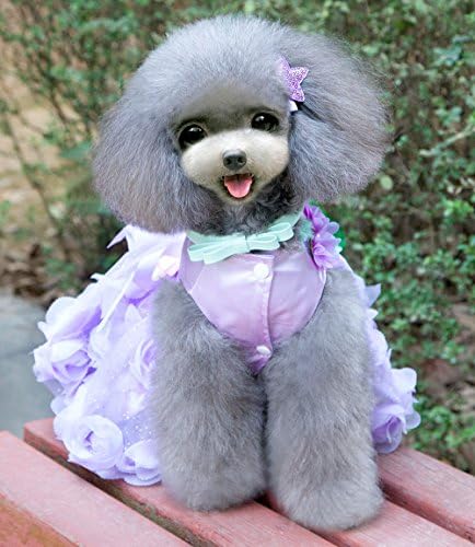 זונה נסיכת חיות מחמד כלב כלב גור חתונה תחפושת סאטן ורד שמלה רשמית חצאית טוטו מסיבת ערב בגדים לבוש סגול סגול XL