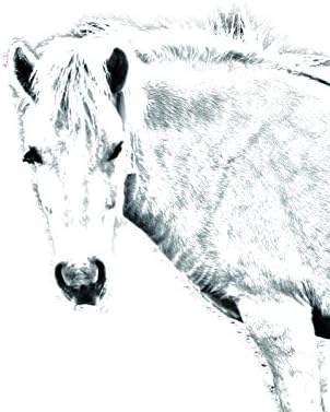 ארט דוג, מ.מ. סוס פיורד, מצבה סגלגלה מאריחי קרמיקה עם תמונה של סוס