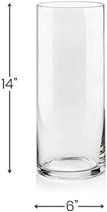 אגרטלי צילינדר זכוכית בגובה 16 אינץ 'רוחב על 6 אינץ