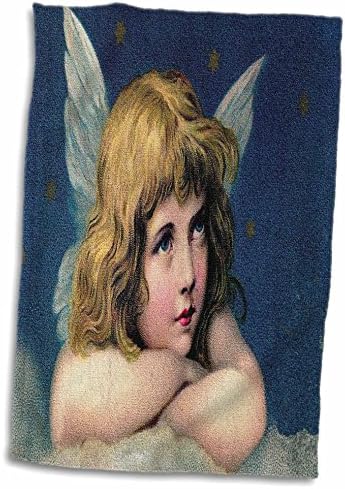 תמונת ורד תלת מימדית של מלאך ויקטוריאני מקרוב עם אפקט קנבס מגבת יד, 15 x 22, רב צבעוני