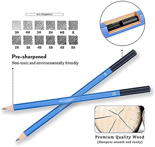 LMMDDP 60 יחידות/סט סקיצה מקצועית עיפרון מברשת פחם קופסת עץ כלים סקיצה מעץ אישור ציור ציור ציור סט אמנות ציוד