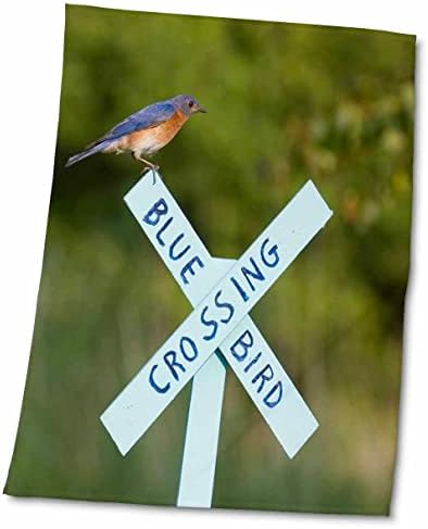 3drose Bluebird מזרח על שלט מעבר Bluebird, מריון, אילינוי, ארהב. - מגבות