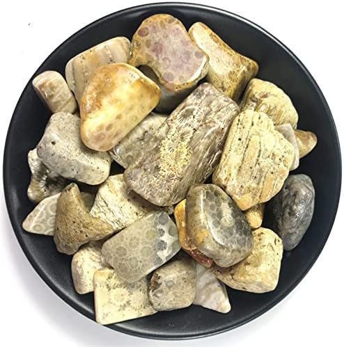 יונגטו 100 גרם 15-40 ממ אלמוגים טבעיים אדמוגים אבן חרצית אבן חצץ אבן מקורית אבן מקורית גינון קישוטי אבן דקורטיביים