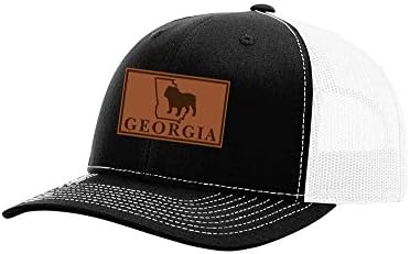 זה הכל על דרום כדורגל בגאורגיה לייזר חקוק עור תיקון נהג משאית כובע