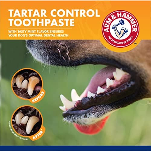 זרוע ופטיש עבור חיות מחמד כלב שיניים טיפול טרי נשימה ערכת לכלבים / כולל זרוע & פטיש אפיית סודה כלב משחת שיניים