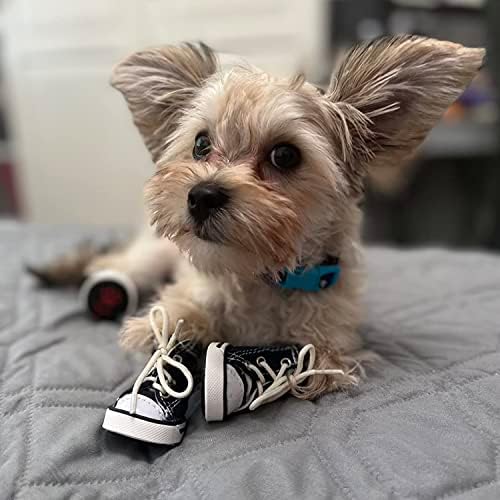 נעלי כלבים, מגפי כלבים של Hiballball לכלבי חיות מחמד קטנים בינוניים, נעלי ספורט ספורט נגד החלקה, מגני כפות