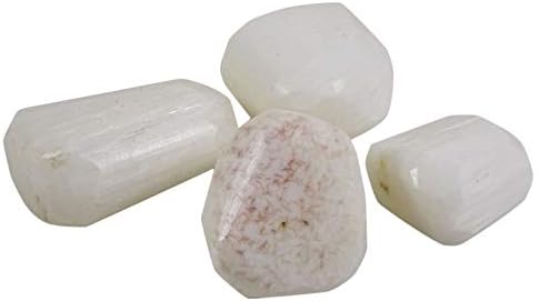 הרמוניזציה של אבן סקולקיט לבנה התנפלה בגודל מגוון מגוון אבן ריפוי רייקי- 4 חתיכות