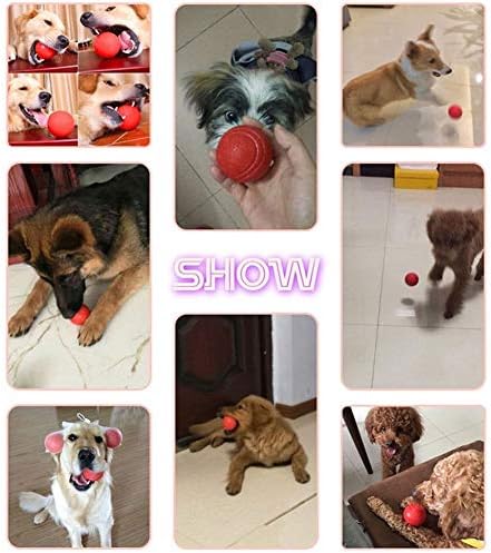 צעצועי חיית מחמד של Dijiaxie 1 pcs צעצוע כלב כדורי גומי אינטראקטיב