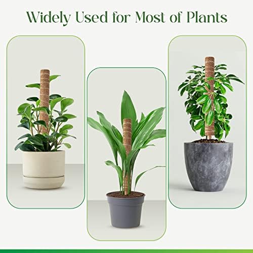 מוט מוס של פיזול לצמחים מונסטרה, תמיכה במקלות צמחים הניתנות להרחבה, הימורי צמחים לצמח עציץ מקורה, 15.7 ''