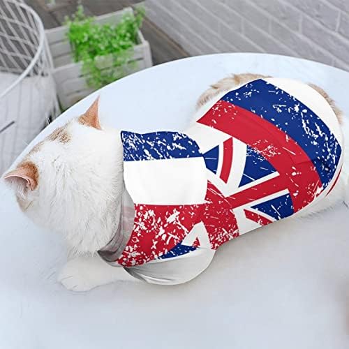 דגל רטרו דגל חיות מחמד של הוואי קפוצ'ון חורף סווטשירט עם כובע לחתול כלבים תלבושת גור כלב מתנה מודפסת חמודה