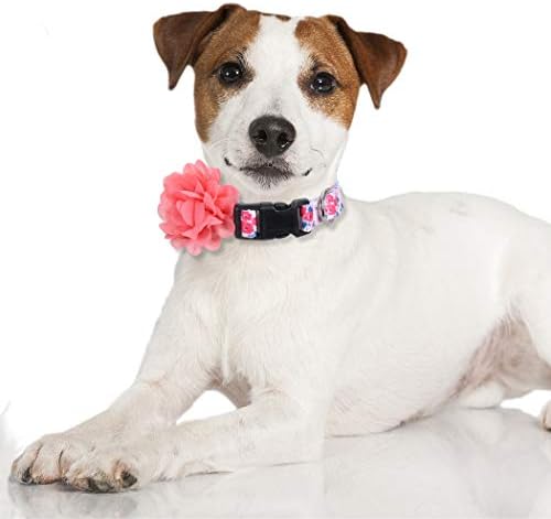 2 חבילות צווארון כלבים פרחוני עם פרחים נשלפים מתכווננים צווארוני חיית מחמד