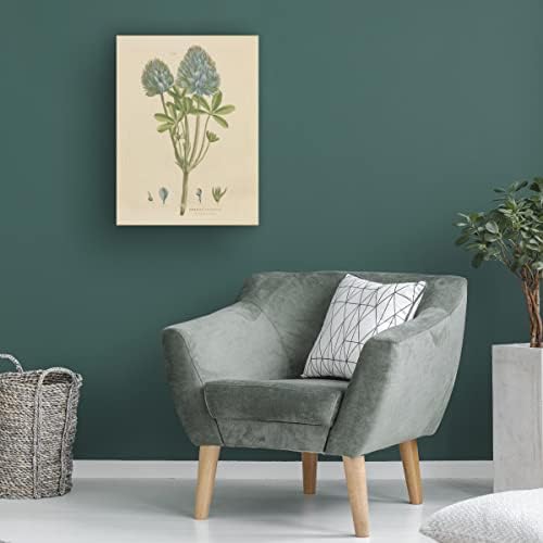 אמנות סימן מסחרי 'צמחי צמחים בוטניים XV' אמנות קנבס מאת תיק אפל פראי