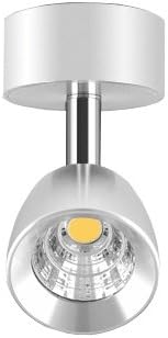 BRILLRAYDO 5W טהור לבנה תקרת LED תאורה תמונה נקודת מנורה מתקן כסף גימור