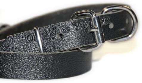 דין וטיילר B&B צווארון כלבים - חומרת ניקל - שחור - גודל 8 x 3/4 רוחב. מתאים לגודל הצוואר 6 אינץ 'עד 10 אינץ'.