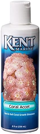 קנט ימית אקסל קשה ורך צמיחה ממריץ בקבוק אלמוגים 8 נוזל אונקיות