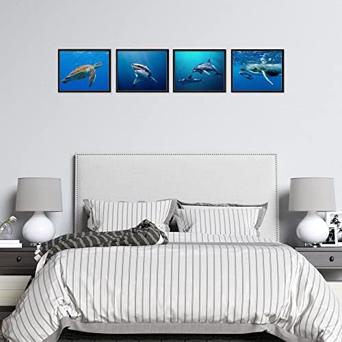 אינסייר ים חיים כרזות כריש כרזות דולפין פוסטר ים צב קיר אמנות לווייתן פוסטר-סט של 4 אוקיינוס כרזות אוקיינוס
