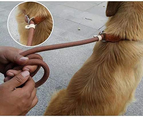 UXZDX כלב עופרת רצועה ניילון רצועת כלבים מתכווננת רתמת כלבים עמידה חגורת חבל קלה ציוד כלבים קלים אימוני חיות מחמד