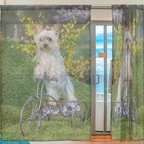 טופ קרפנטר יורקי כלבים רוכבים על אופניים חצי וילונות עצומים חלון חלון וילונות פנלים
