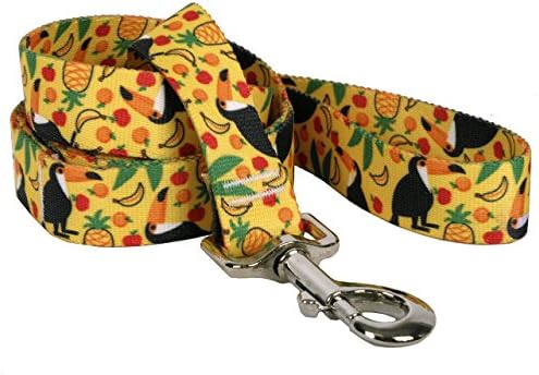 עיצוב כלבים צהוב פירותי טוקאן רצועה 1 רחבה ואורך 5 ', גדול