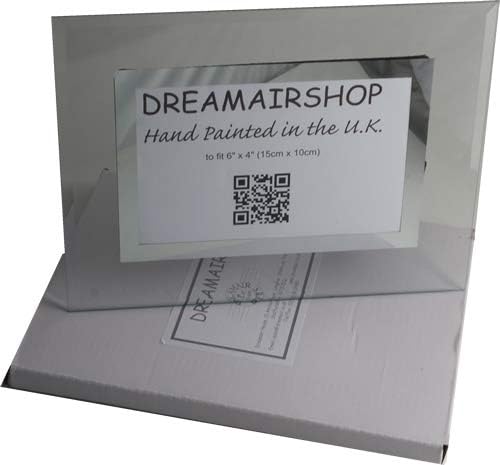 מסגרת צילום יום הולדת 60 של Dreamair: ארץ
