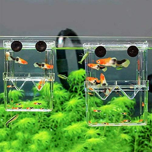 סנזל אקווריום דגי מגדל קופסא פלסטיק דגי בידוד רבייה תיבת בקיעת חממת תיבת עבור תינוק דגי שרימפס דגי ליצן גופי