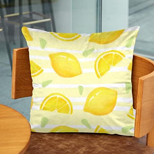 חבילת טבובט של 2 כיסויי כריות קטיפה, מארז כרית כרית מרובע למיטת ספה, קריקטורה של קיץ לימון פירות