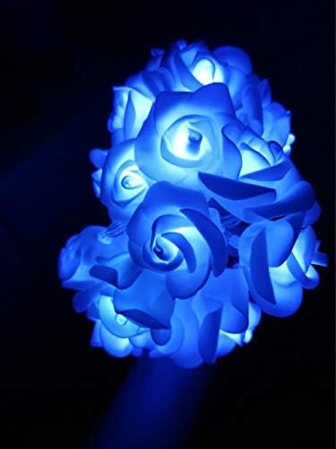 Fantasee 50 LED LED ROSE LIGHTS LIGNE