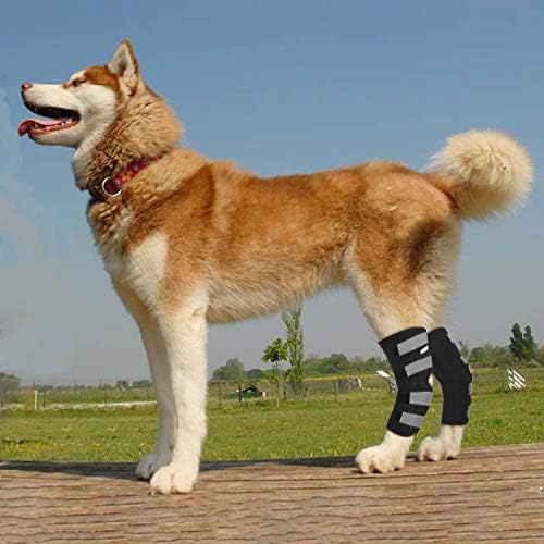 ביד כלב אחורי רגל למשכן סד, זוג כלב כלב רגל משותף כורכת דחיסת סד מגן על פצעים, מרפא ומונע פציעות ונקעים עוזר עם אובדן של יציבות
