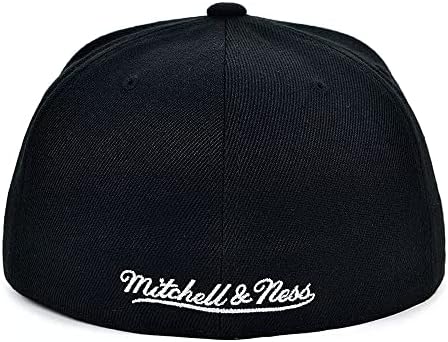 מיטשל ונס לוס אנג'לס לייקרס שושלת בסיסית כובע כובע מצויד - שחור