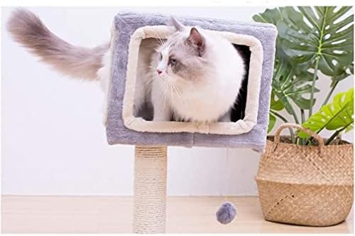 חתול עץ חתול גרוד עם תליית כדור, עמיד חתול גרדן מוט עם סיסל חבל חתול עץ חתול מגדל